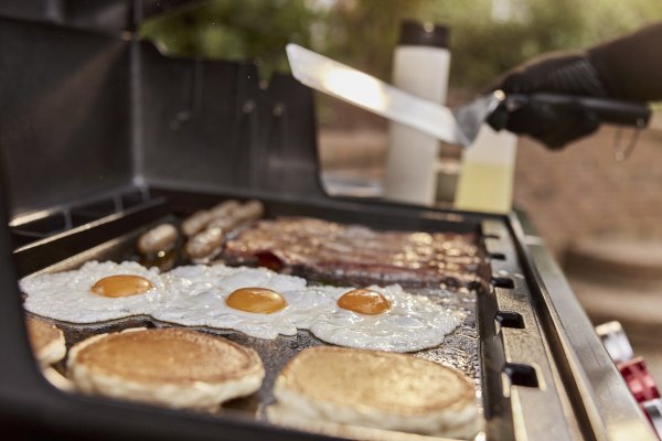 Weber Grillplatte Full Size für Genesis 300-Serie